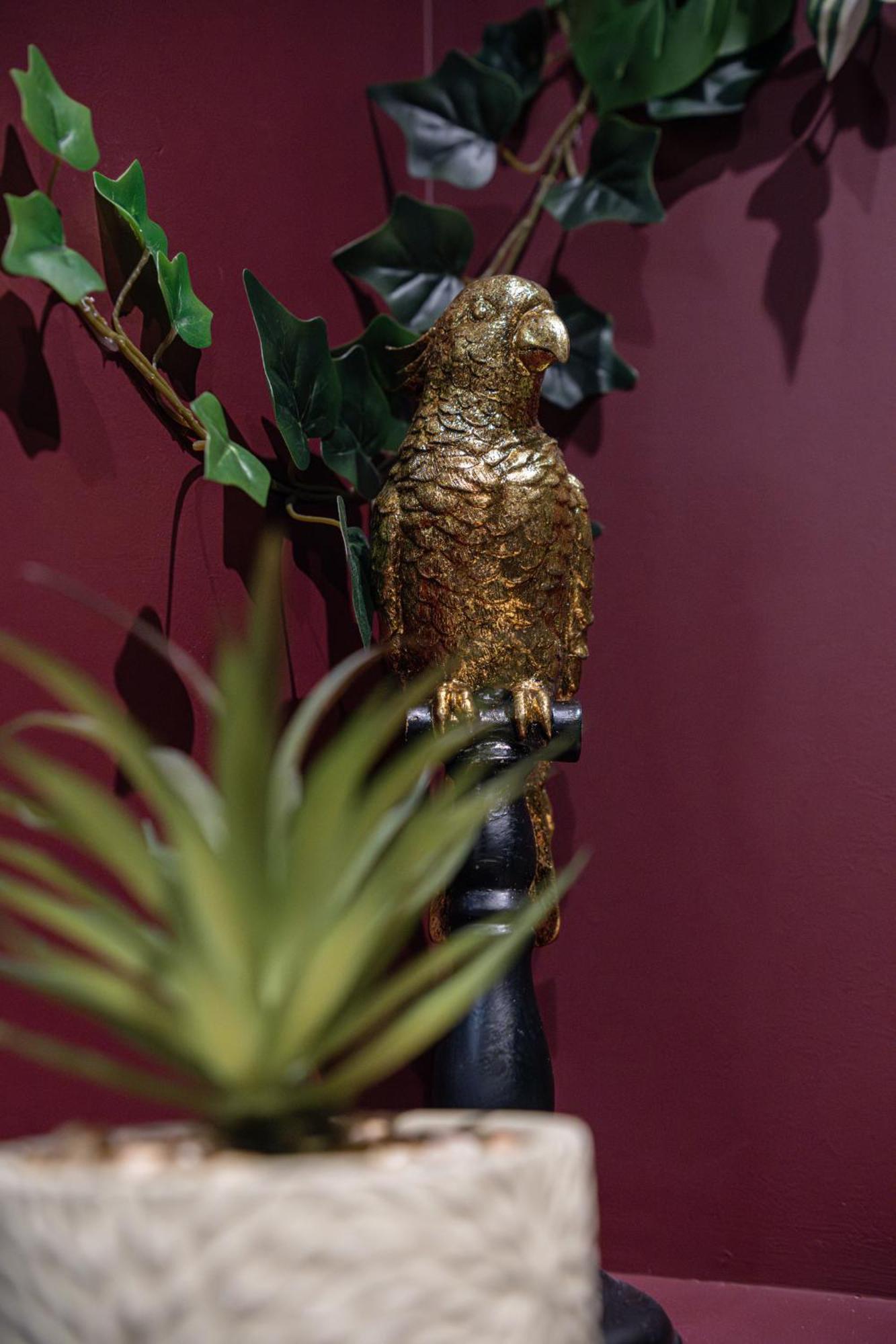 Secret Jungle - Love Room By Prim0 C0Nciergerie ロワイヤ エクステリア 写真